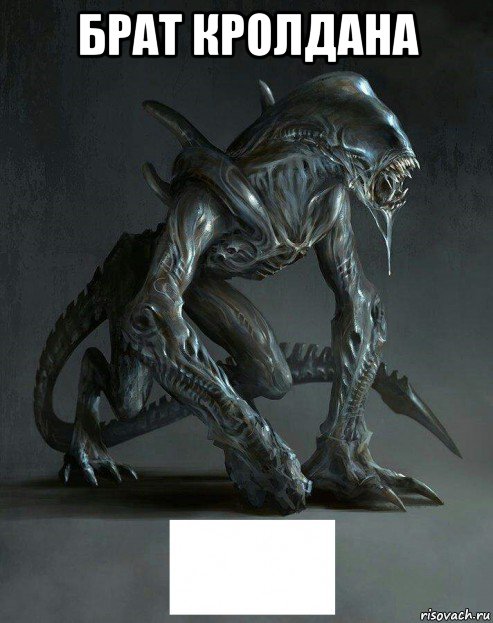 брат кролдана 