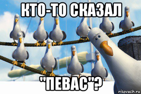 кто-то сказал "певас"?