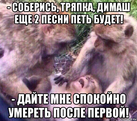 - соберись, тряпка, димаш еще 2 песни петь будет! - дайте мне спокойно умереть после первой!