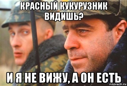 красный кукурузник видишь? и я не вижу, а он есть, Мем Дмб