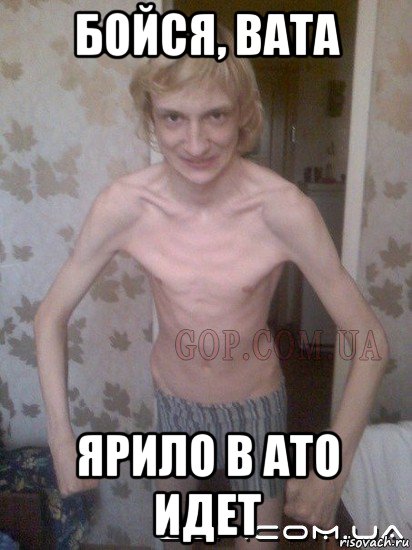бойся, вата ярило в ато идет