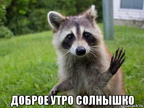  доброе утро солнышко, Мем Ен