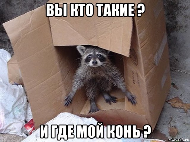 вы кто такие ? и где мой конь ?