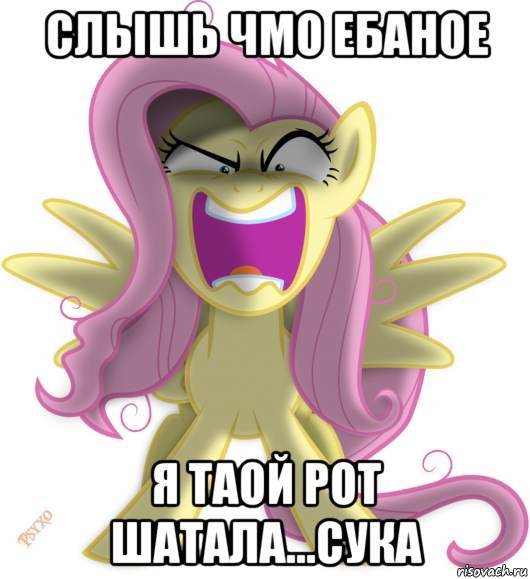 слышь чмо ебаное я таой рот шатала...сука