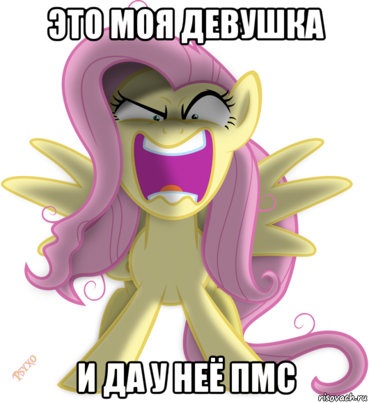 это моя девушка и да у неё пмс