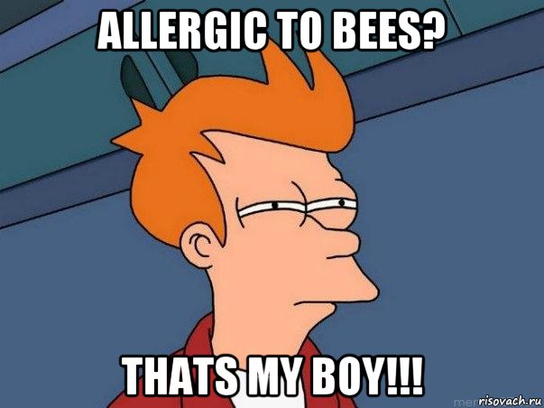 allergic to bees? thats my boy!!!, Мем  Фрай (мне кажется или)