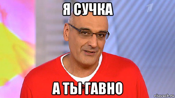 я сучка а ты гавно