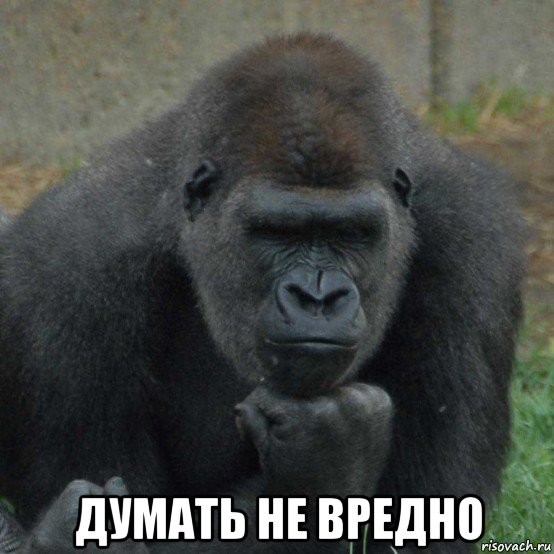  думать не вредно