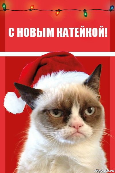 С новым катейкой!, Комикс  Grumpy cat new year