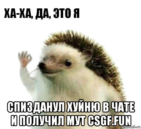  спизданул хуйню в чате и получил мут csgf.fun, Мем Ха-ха да это я