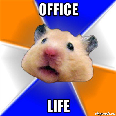 office life, Мем Хомяк