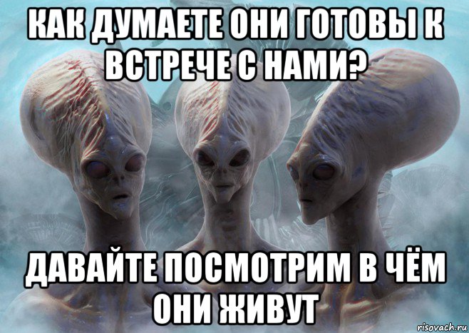 как думаете они готовы к встрече с нами? давайте посмотрим в чём они живут