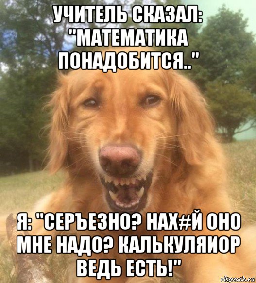 учитель сказал: "математика понадобится.." я: "серъезно? нах#й оно мне надо? калькуляиор ведь есть!", Мем   Когда увидел что соседского кота отнесли в чебуречную