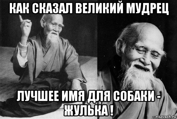 как сказал великий мудрец лучшее имя для собаки - жулька !