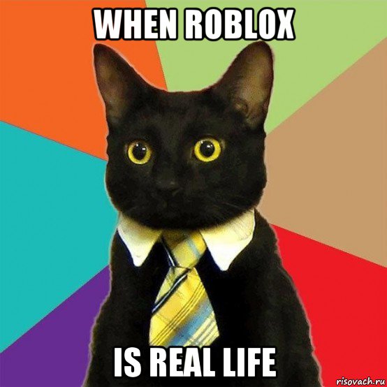 when roblox is real life, Мем  Кошечка