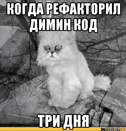 когда рефакторил димин код три дня