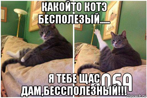 какойто котэ бесполезый..... я тебе щас дам,бессполезный!!!