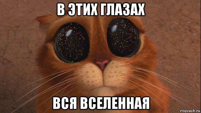 в этих глазах вся вселенная