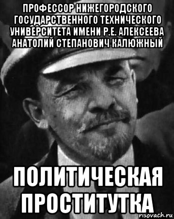 профессор нижегородского государственного технического университета имени р.е. алексеева анатолий степанович калюжный политическая проститутка