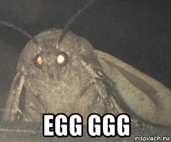  egg ggg, Мем Матылёк