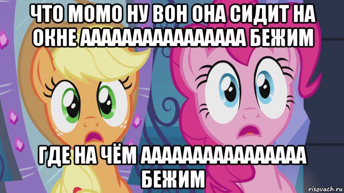 что момо ну вон она сидит на окне аааааааааааааааа бежим где на чём аааааааааааааааа бежим