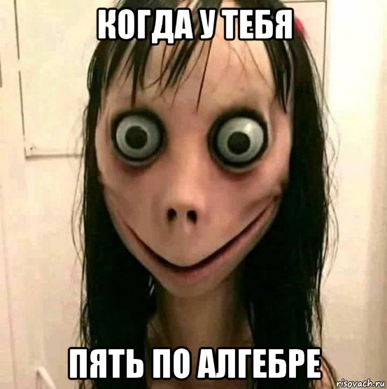когда у тебя пять по алгебре