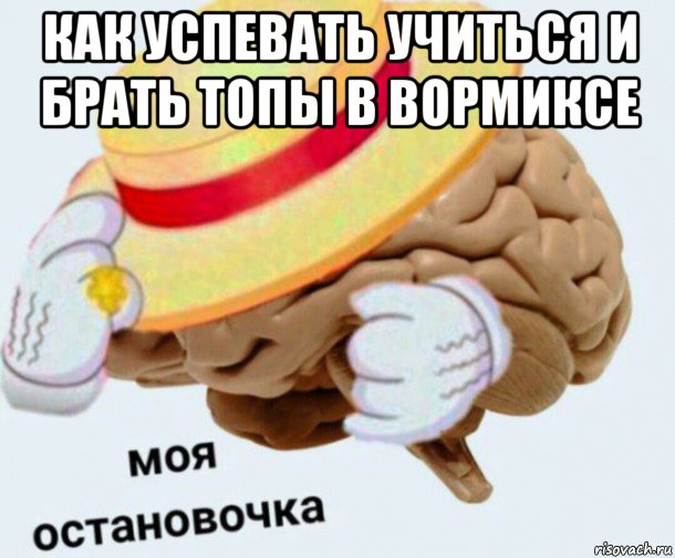 как успевать учиться и брать топы в вормиксе , Мем   Моя остановочка мозг