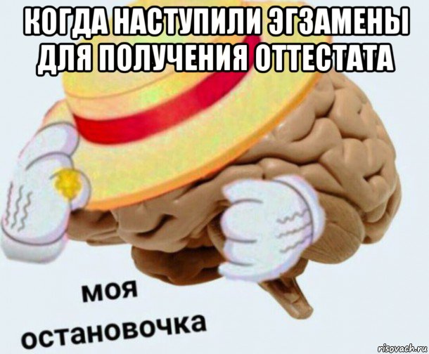 когда наступили эгзамены для получения оттестата , Мем   Моя остановочка мозг