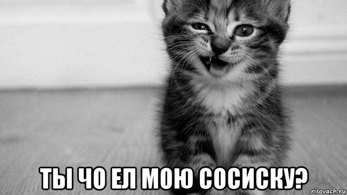  ты чо ел мою сосиску?