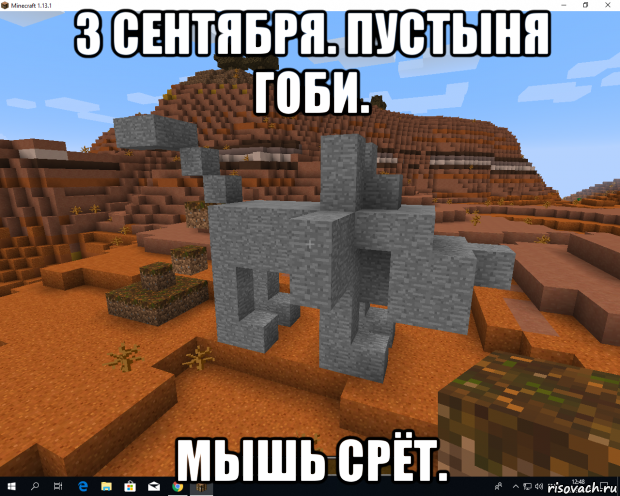 3 сентября. пустыня гоби. мышь срёт.