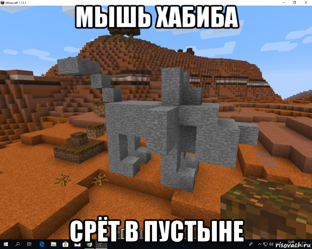 мышь хабиба срёт в пустыне