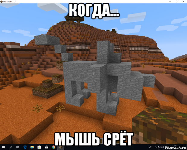 когда... мышь срёт