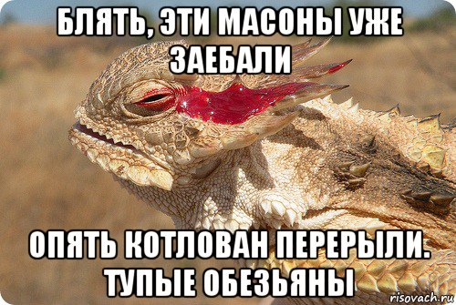 блять, эти масоны уже заебали опять котлован перерыли. тупые обезьяны, Мем Недовольная ящерица