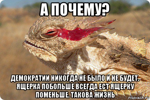 а почему? демократии никогда не было и не будет. ящерка побольше всегда ест ящерку поменьше. такова жизнь, Мем Недовольная ящерица