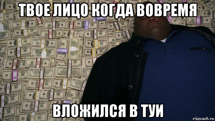 твое лицо когда вовремя вложился в туи