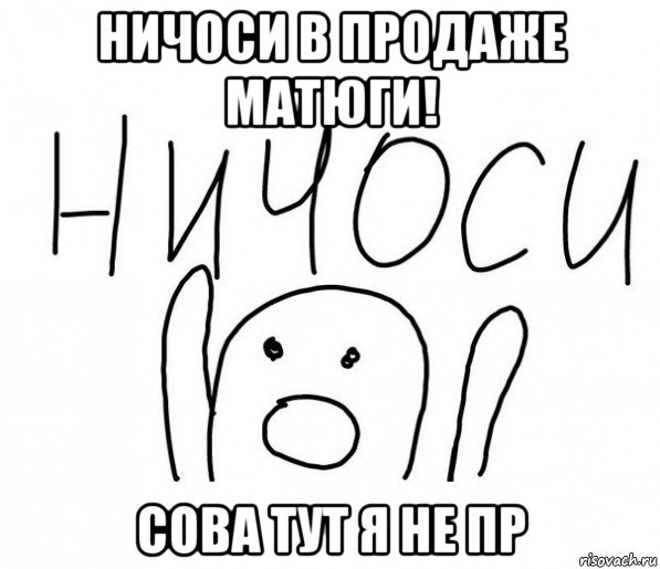 ничоси в продаже матюги! сова тут я не пр, Мем  Ничоси