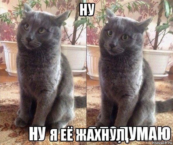 ну я её жахнул