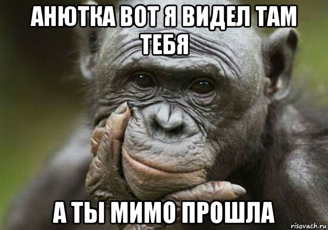 анютка вот я видел там тебя а ты мимо прошла, Мем Обезьяна