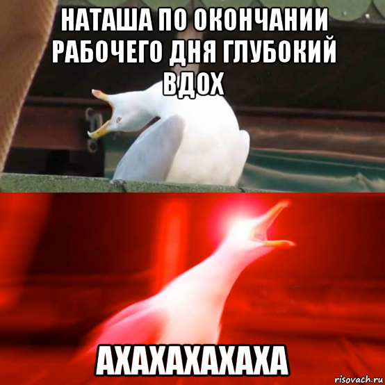 наташа по окончании рабочего дня глубокий вдох ахахахахаха