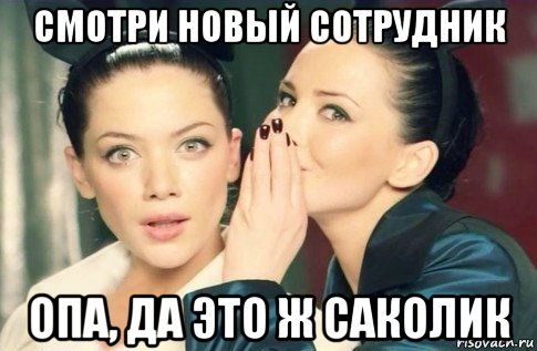 смотри новый сотрудник опа, да это ж саколик, Мем  Он