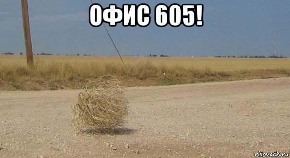 офис 605! , Мем перекати-поле одиночество