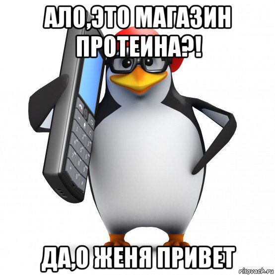 ало,это магазин протеина?! да,о женя привет, Мем   Пингвин звонит