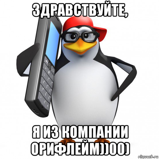 здравствуйте, я из компании орифлейм))00), Мем   Пингвин звонит