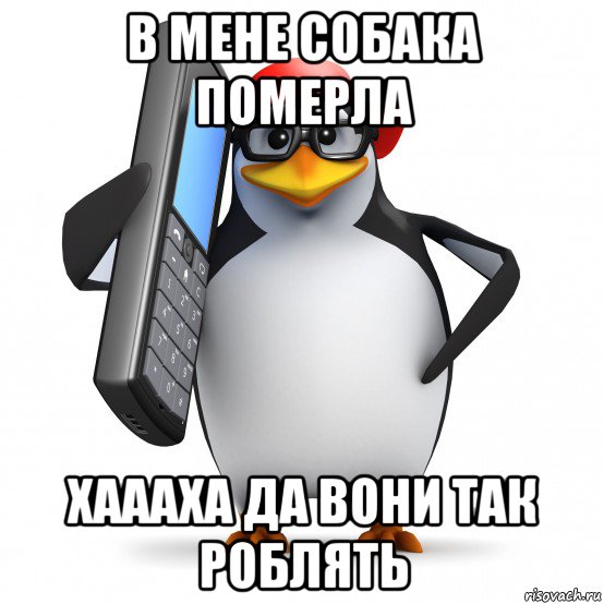 в мене собака померла хаааха да вони так роблять, Мем   Пингвин звонит