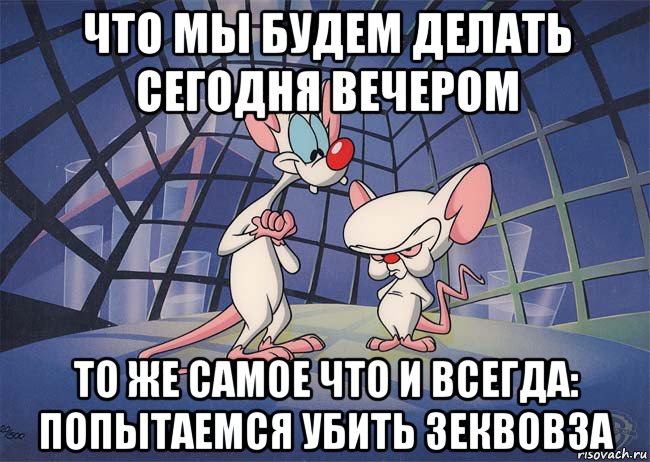 что мы будем делать сегодня вечером то же самое что и всегда: попытаемся убить зеквовза, Мем ПИНКИ И БРЕЙН