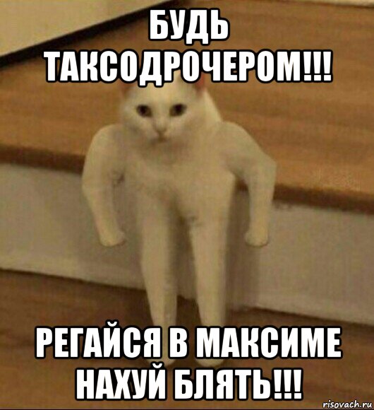 будь таксодрочером!!! регайся в максиме нахуй блять!!!, Мем  Полукот