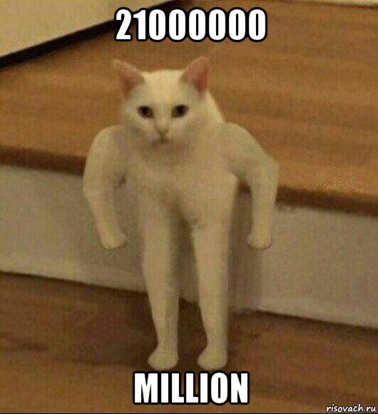 21000000 million, Мем  Полукот