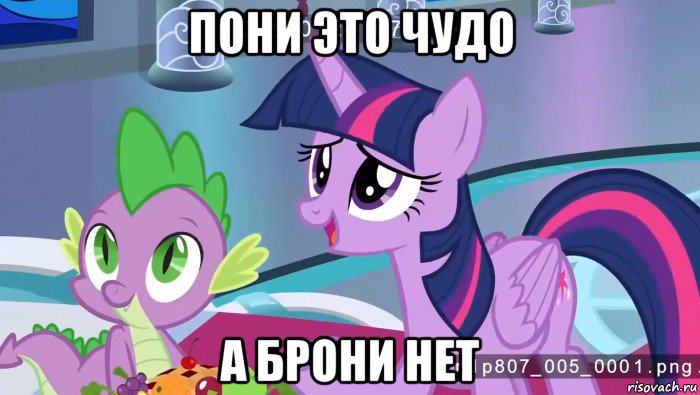 пони это чудо а брони нет
