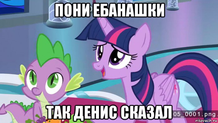 пони ебанашки так денис сказал