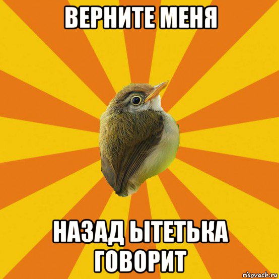 верните меня назад ытетька говорит, Мем Птичка